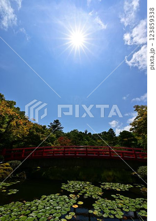 由志園の日本庭園 123859338