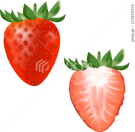 手描きイチゴ 123859528
