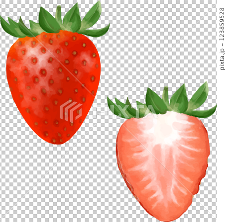 手描きイチゴ 123859528