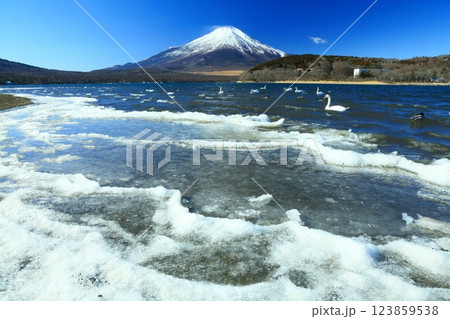氷の山中湖 123859538