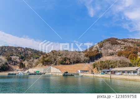 宮城県女川の小さな漁港 123859758