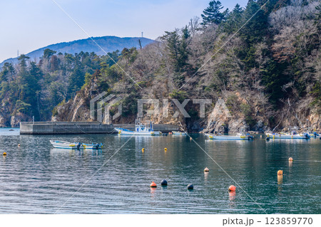 宮城県女川の小さな漁港 宮城県女川の小さな漁港 123859770