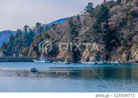 宮城県女川の小さな漁港 123859773