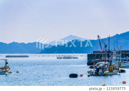 宮城県女川の小さな漁港 123859775