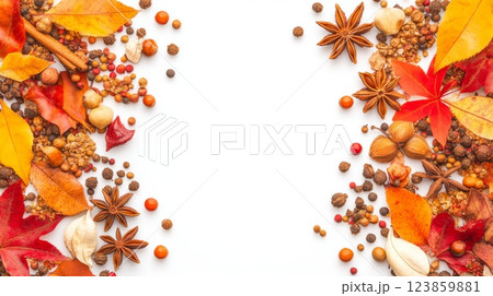 A frame of spices nuts and foliage with an empty space in the center 123859881