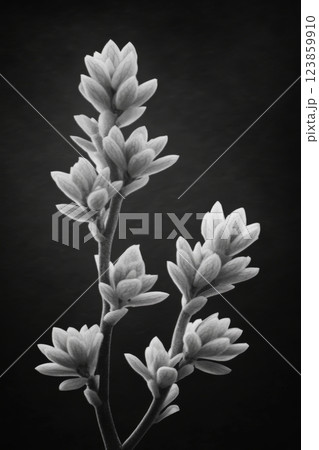 Elegant Black and White Floral Stems on Black 123859910