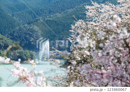 桜の花が咲く季節に映える観光スポット「市房ダム・水輝橋・汗の原 親水公園」(熊本県球磨郡水上村湯山) 桜の花が咲く季節に映える観光スポット「市房ダム・水輝橋・汗の原 親水公園」(熊本県球磨郡水上村湯山) 123860067