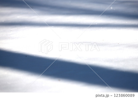 北海道の冬 雪原に写る木の影 スペース多め 北海道の冬 雪原に写る木の影 スペース多め 123860089