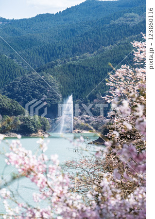 桜の花が咲く季節に映える観光スポット「市房ダム・水輝橋・汗の原 親水公園」(熊本県球磨郡水上村湯山) 桜の花が咲く季節に映える観光スポット「市房ダム・水輝橋・汗の原 親水公園」(熊本県球磨郡水上村湯山) 123860116