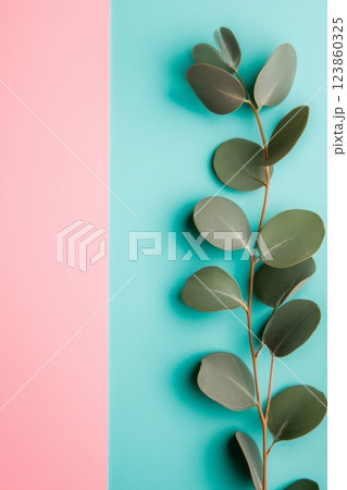 Eucalyptus Branch on Pink and Blue Design Eucalyptus Branch on Pink and Blue Design 123860325