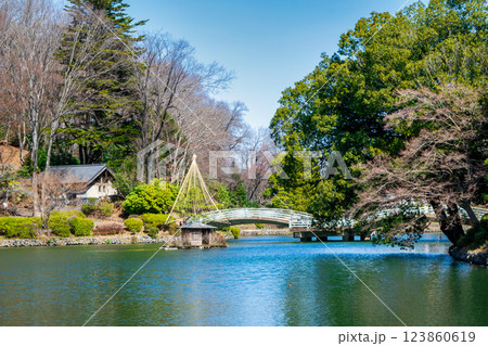 東京都町田市　薬師池公園　梅園　都指定名勝　 123860619