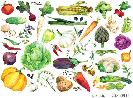 Hand drawn agricultures for menu design, kitchen decor, cooking book recipes 123860936