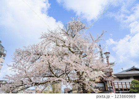 建築 構築 アーキテクチャ 123860969