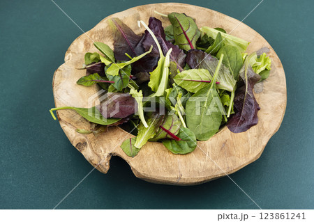 Fresh vibrant green salad. Fresh vibrant green salad. 123861241
