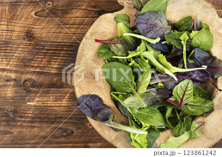 Mix of fresh organic juicy salad greens. 123861242