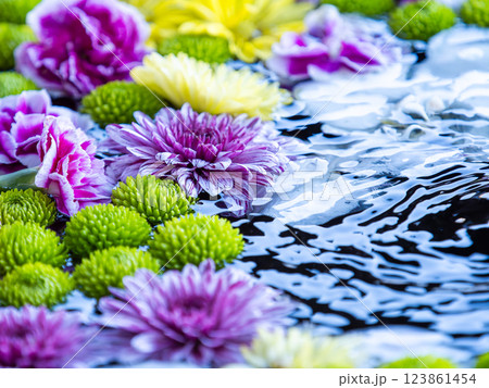 1月の季節の花に彩られた美しい花手水 123861454