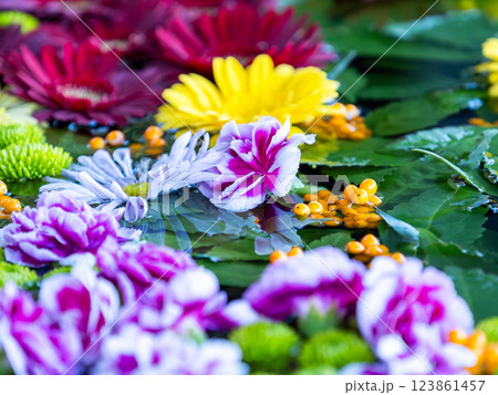 1月の季節の花に彩られた美しい花手水 1月の季節の花に彩られた美しい花手水 123861457