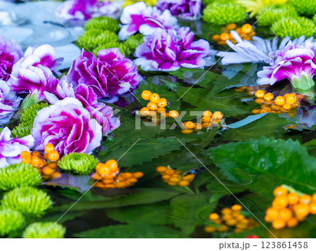 1月の季節の花に彩られた美しい花手水 1月の季節の花に彩られた美しい花手水 123861458
