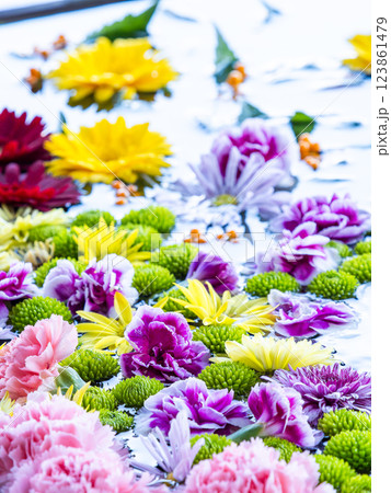 1月の季節の花に彩られた美しい花手水 1月の季節の花に彩られた美しい花手水 123861479