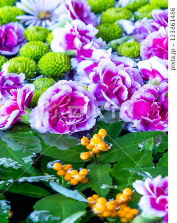 1月の季節の花に彩られた美しい花手水 1月の季節の花に彩られた美しい花手水 123861486