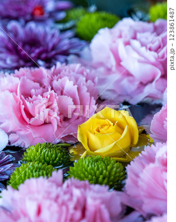 1月の季節の花に彩られた美しい花手水 123861487