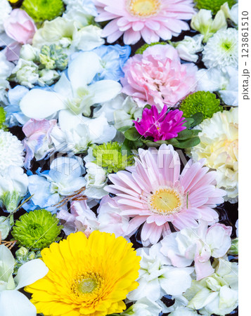 1月の季節の花に彩られた美しい花手水 1月の季節の花に彩られた美しい花手水 123861510