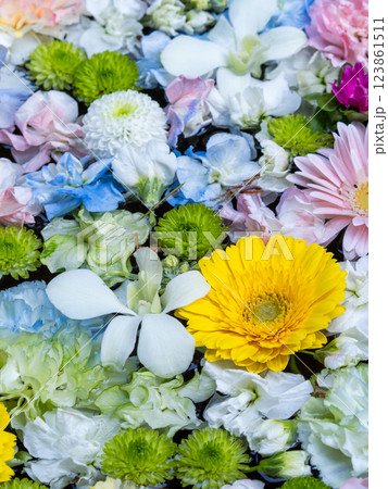 1月の季節の花に彩られた美しい花手水 123861511