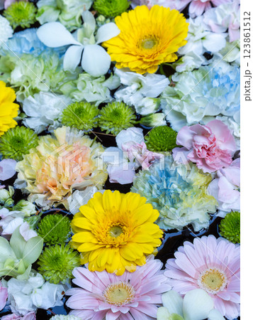 1月の季節の花に彩られた美しい花手水 1月の季節の花に彩られた美しい花手水 123861512