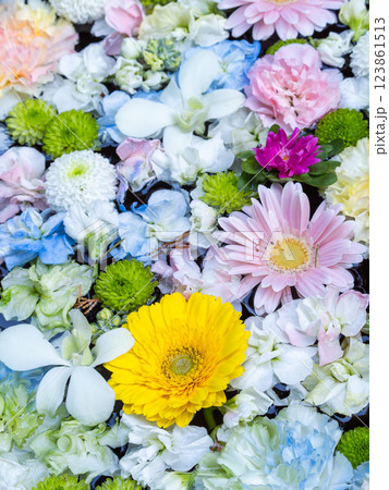 1月の季節の花に彩られた美しい花手水 123861513