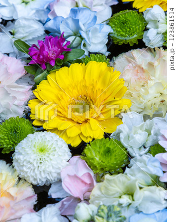 1月の季節の花に彩られた美しい花手水 1月の季節の花に彩られた美しい花手水 123861514