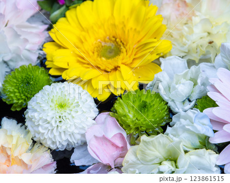 1月の季節の花に彩られた美しい花手水 123861515