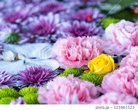 1月の季節の花に彩られた美しい花手水 1月の季節の花に彩られた美しい花手水 123861523
