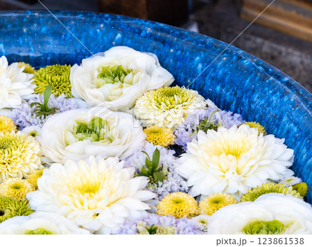 1月の季節の花に彩られた美しい花手水 123861538