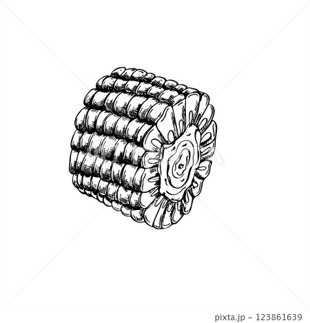 Corn piece of cob vector graphic sketch illustration painted by black inks. Round Mexican maize or corncob for cooking. Fried BBQ fast food vegetable etching drawing for restaurant menu, label. 123861639