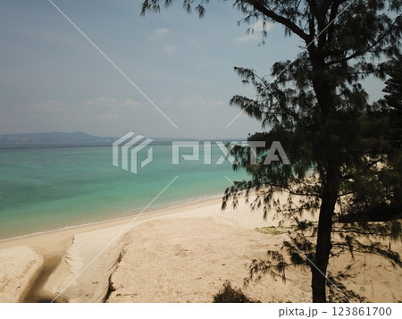 沖縄本島　沖縄本島北部ビーチ　北部ビーチ　沖縄ビーチ　ビーチ 123861700