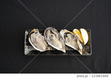 冬の味覚真牡蠣 123861809