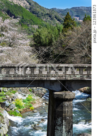 春の光芒を浴びている桜の木と歴史ある石造りの橋と川(渓谷)　(宮崎県西臼杵郡高千穂町上野) 123861873