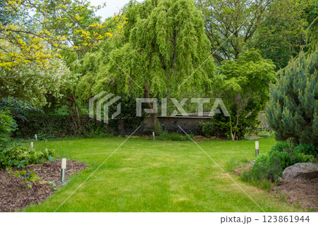 Lush garden with a willow tree and vibrant greenery 123861944