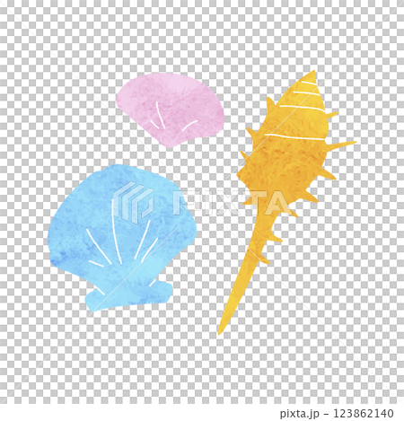 水彩の貝のイラスト 水彩の貝のイラスト 123862140