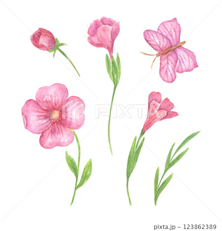 A set of pink flowers and buds, leaves and butterflies, floral watercolor illustration for the design of wedding invitations, greeting cards, printing design. Spring and summer recruitment 123862389