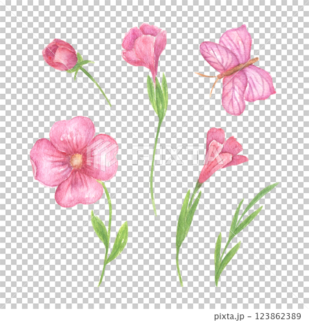 A set of pink flowers and buds, leaves and butterflies, floral watercolor illustration for the design of wedding invitations, greeting cards, printing design. Spring and summer recruitment 123862389