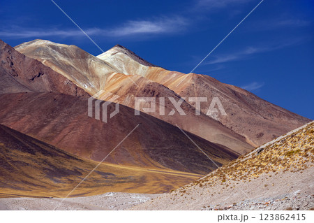 Andes Mountains near Alues Calientes - Atacama Desert - Chile 123862415