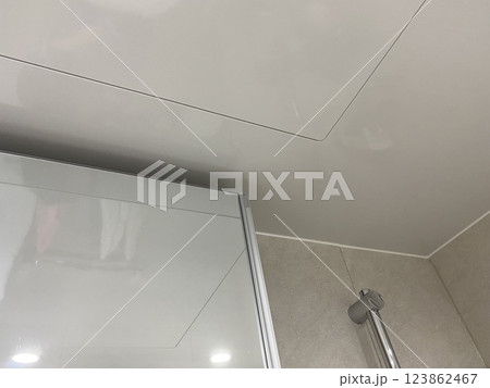 Bathroom Mirror and Ceiling 123862467