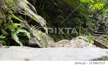 比地大滝 国頭村 沖縄 滝 沖縄本島 比地大滝 国頭村 沖縄 滝 沖縄本島 123862537