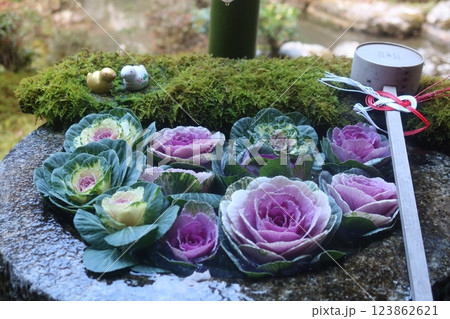 柳谷観音の花手水 柳谷観音の花手水 123862621