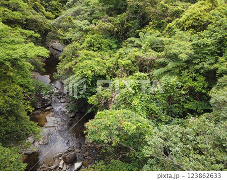 比地大滝　国頭村　沖縄　滝　沖縄本島 123862633