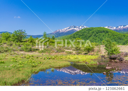 【長野県】乗鞍高原・一の瀬瀬園地　新緑のまいめの池 123862661