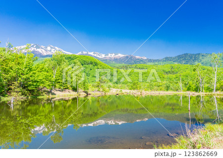 【長野県】乗鞍高原・一の瀬瀬園地　新緑のまいめの池 123862669