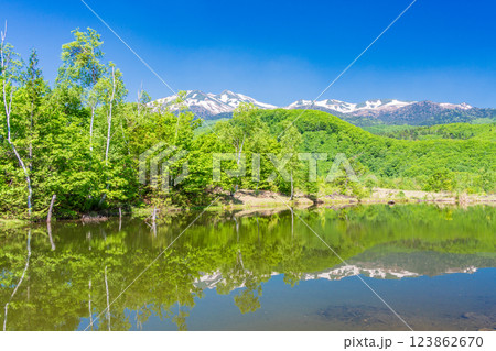 【長野県】乗鞍高原・一の瀬瀬園地 新緑のまいめの池 【長野県】乗鞍高原・一の瀬瀬園地 新緑のまいめの池 123862670