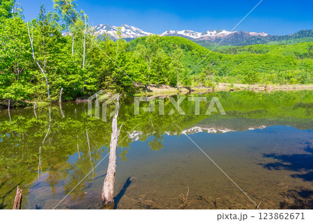 【長野県】乗鞍高原・一の瀬瀬園地　新緑のまいめの池 123862671